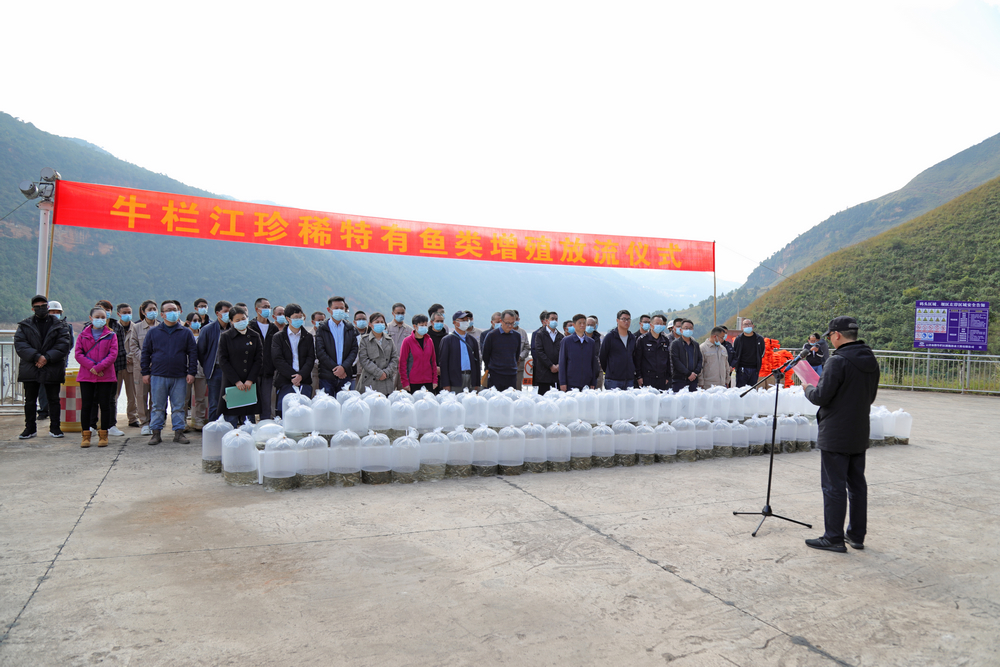 1635338268979360.jpg 1.JPG