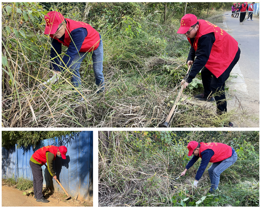 1637328457127894.jpg 拼圖.jpg